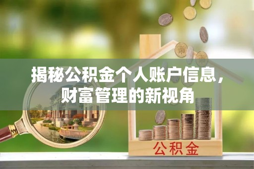 武威揭秘公积金个人账户信息，财富管理的新视角