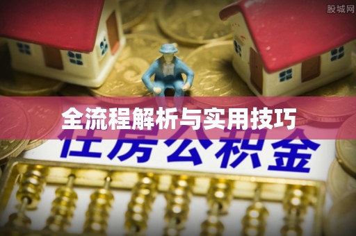 武威全流程解析与实用技巧