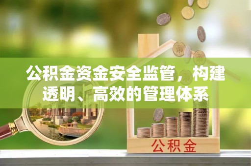 武威公积金资金安全监管，构建透明、高效的管理体系