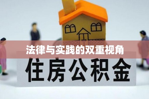 武威法律与实践的双重视角
