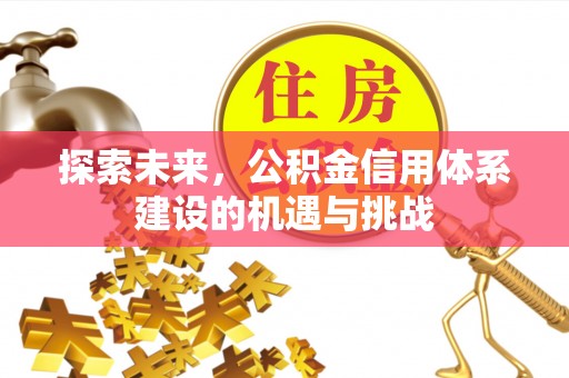 武威探索未来，公积金信用体系建设的机遇与挑战