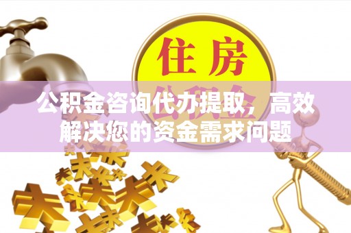 武威公积金咨询代办提取，高效解决您的资金需求问题