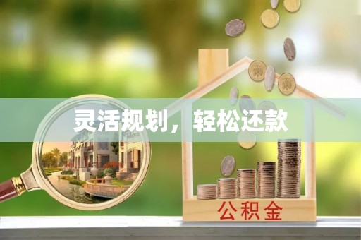 武威灵活规划，轻松还款